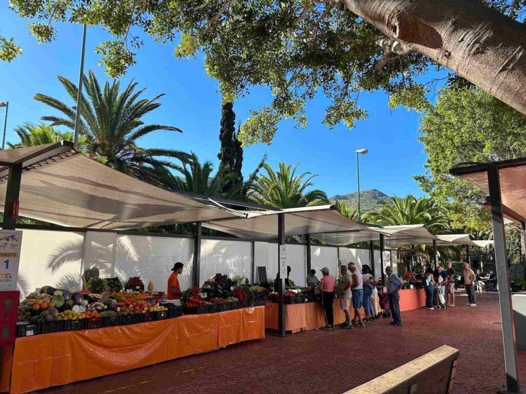 Vista de puestos en el Mercado de San Lorenzo en Gran Canaria