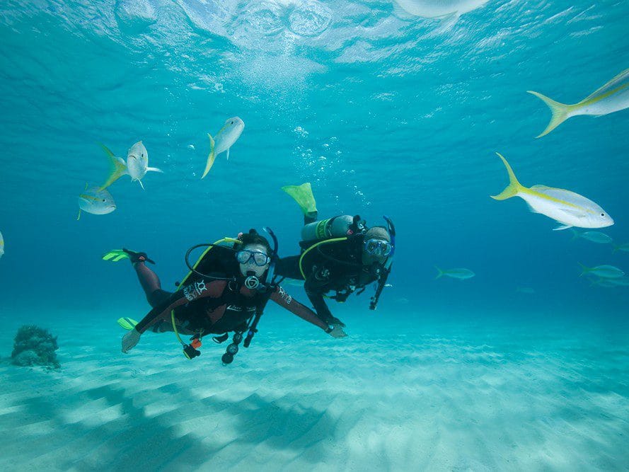 VIsta de buceadores en Gran Canaria