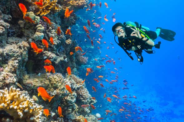 Bautismo de buceo en Gran Canaria