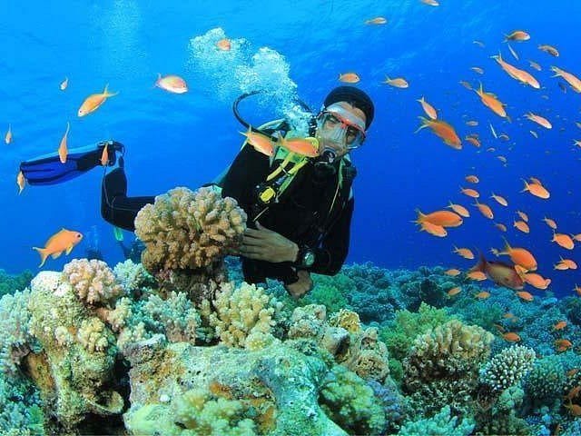 Vista de buceador en el fondo rodeado de peces en Gran Canaria