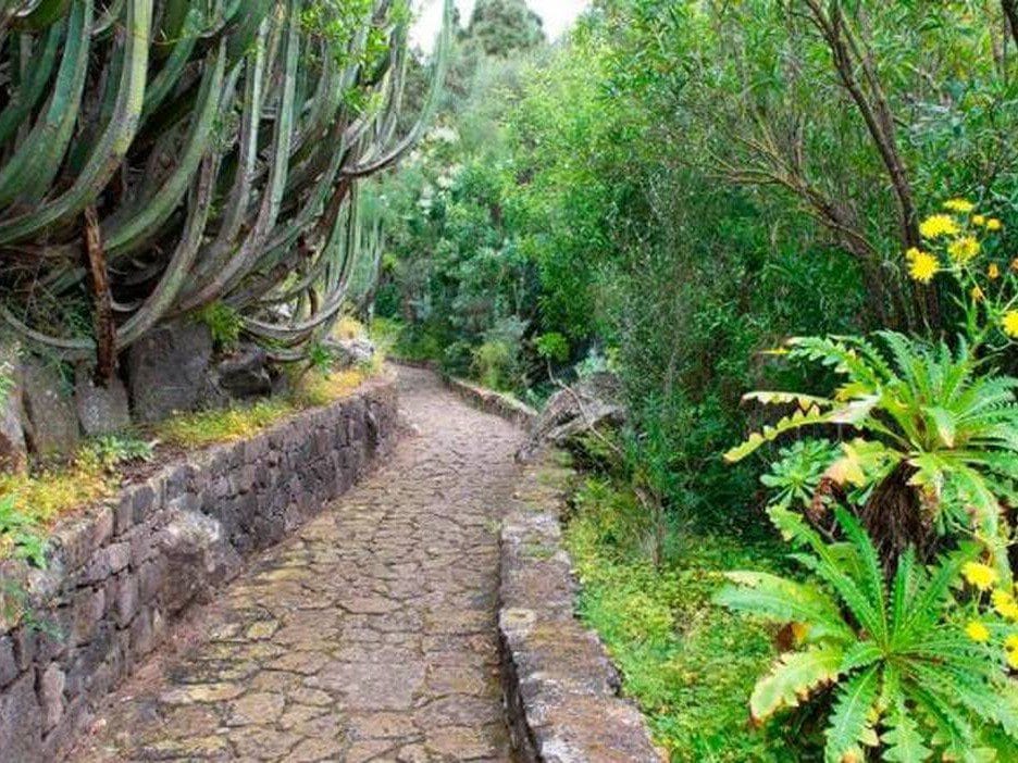 Vista del Jardín Canario, uno de los mejores sitios en Gran Canaria para hacer rutas
