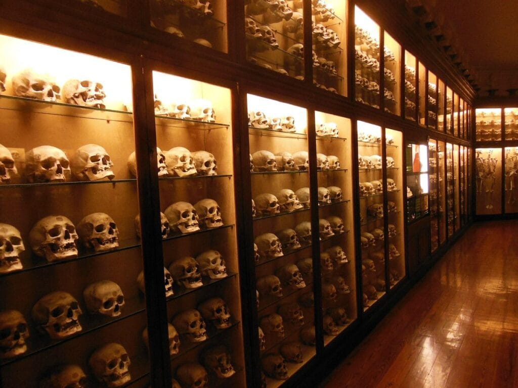 Ver el museo Canario es una de las mejores cosas que hacer en Las Palmas