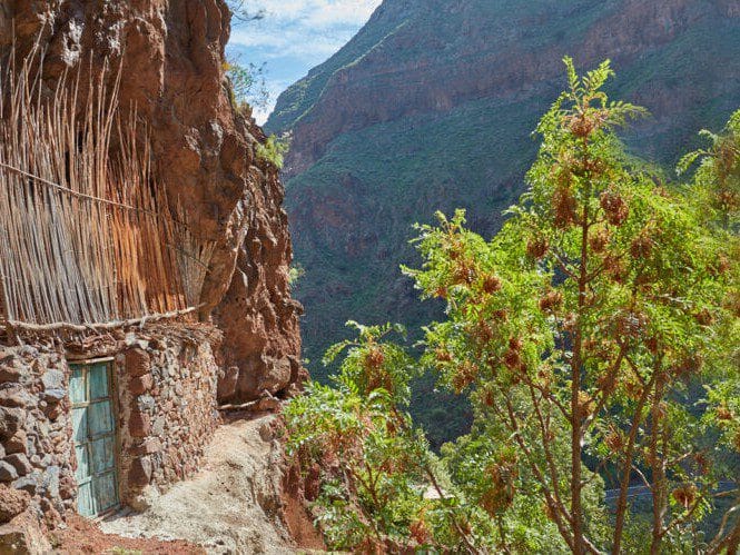 Vista de Guayadeque y sus cuevas