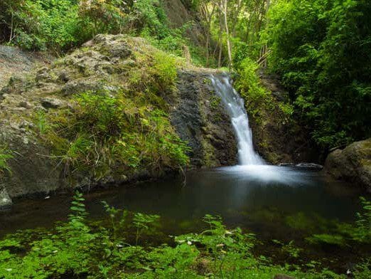 Senderismo en el barranco de Azuaje en Firgas