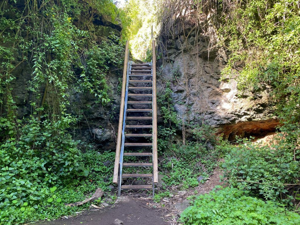 Vista de la escalera en el sendero del Álamo en Teror, una de las rutas más populares en Gran Canaria para ir en familia