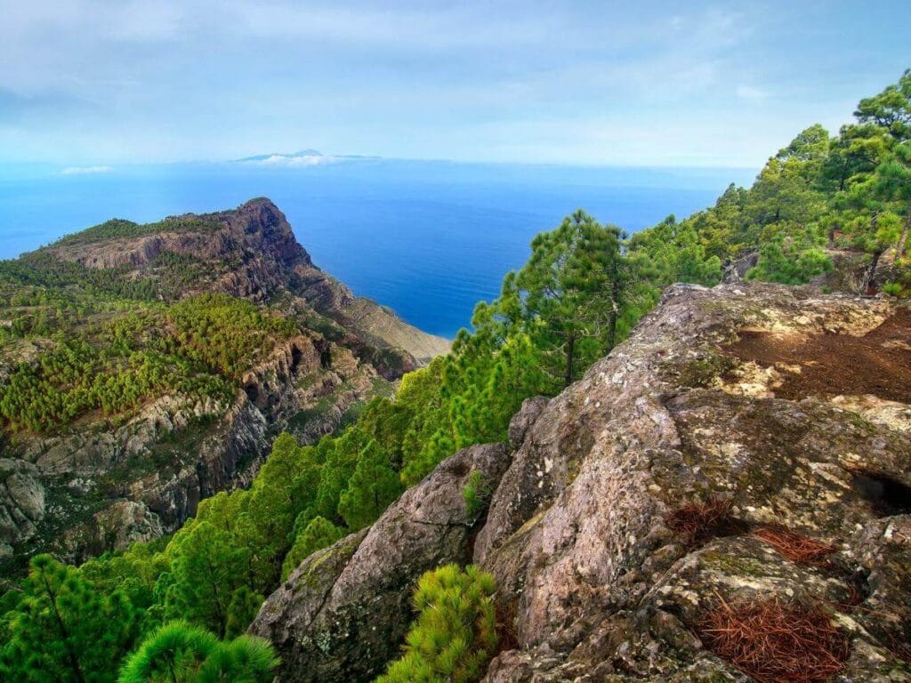 Vista del Parque Natural de Tamadaba, uno de los mejores lugares para hacer senderismo en Gran Canaria