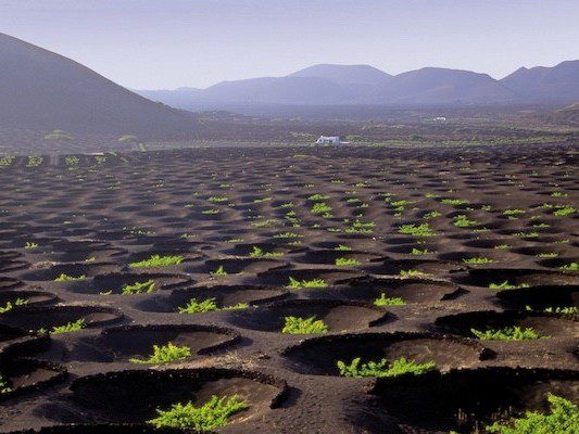 Vista de La Geria, uno de los mejores lugares que ver en Lanzarote