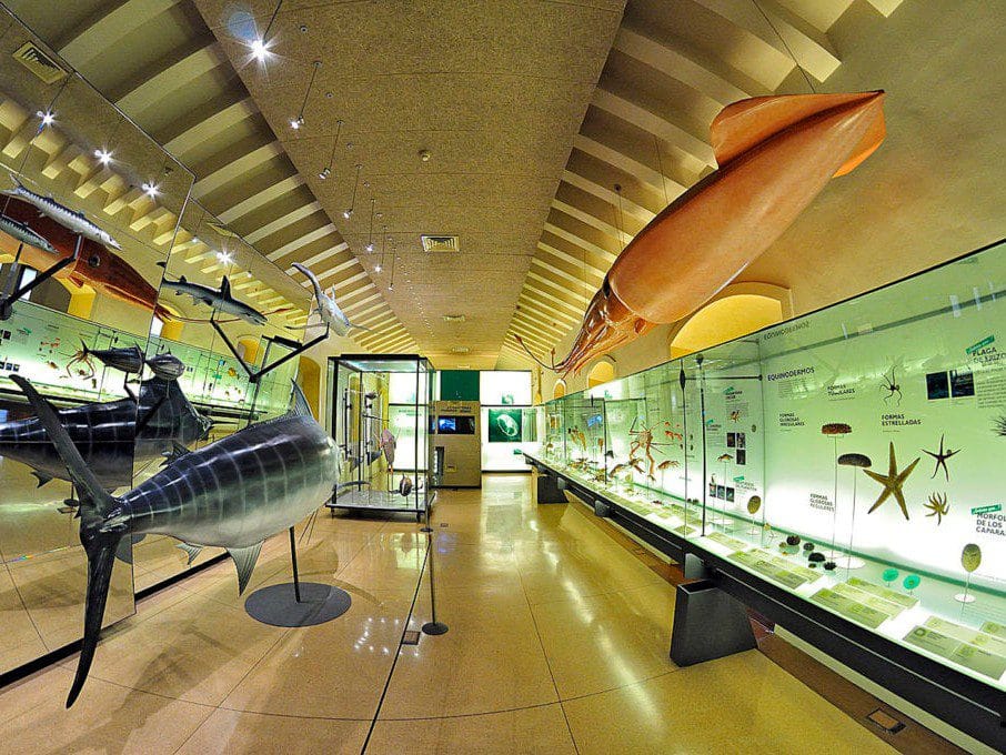 Vista de una exposicion en el Museo de la Naturaleza y el Hombre en Santa Cruz, una de las cosas que hacer en la capital