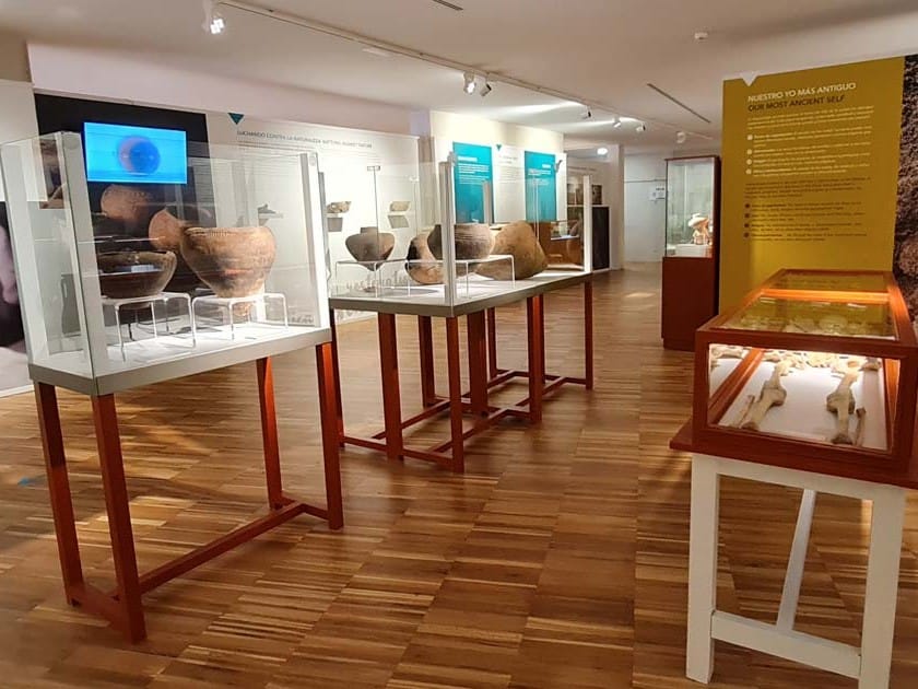 Vista de exposiciones en el Museo Arqueológico de Fuerteventura