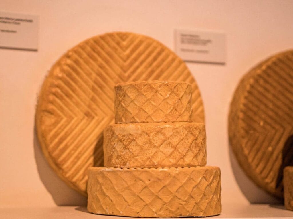 Vista de quesos majoreros en el museo del queso majorero