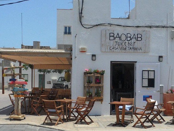 Vista del restaurante Baobab en Fuerteventura, una de las mejores opciones veganas o vegetarianas en la isla