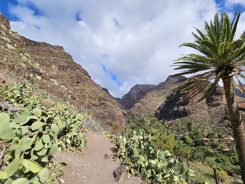 Vista de una ruta de senderismo en Valle Gran Rey en la Gomera