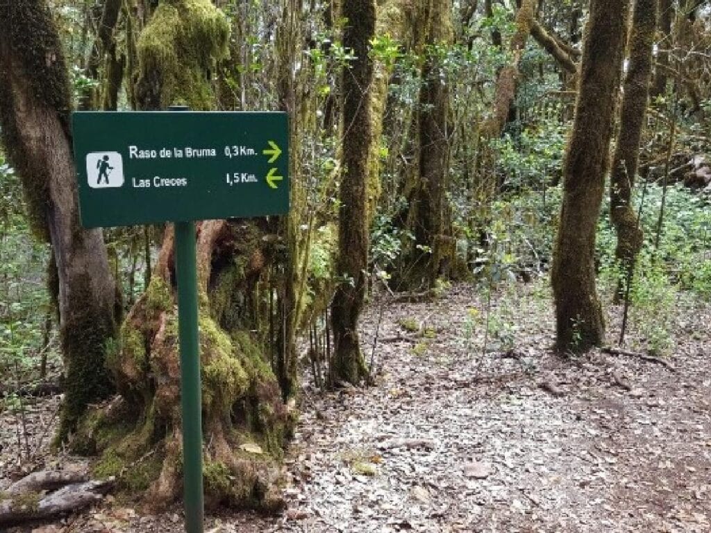 vista del Sendero Raso de la Bruma, una de las mejores rutas de senderismo en La Gomera
