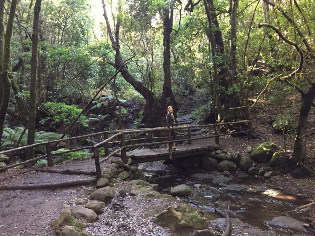 Vista de la ruta Alto de Garajonay - El Cedro