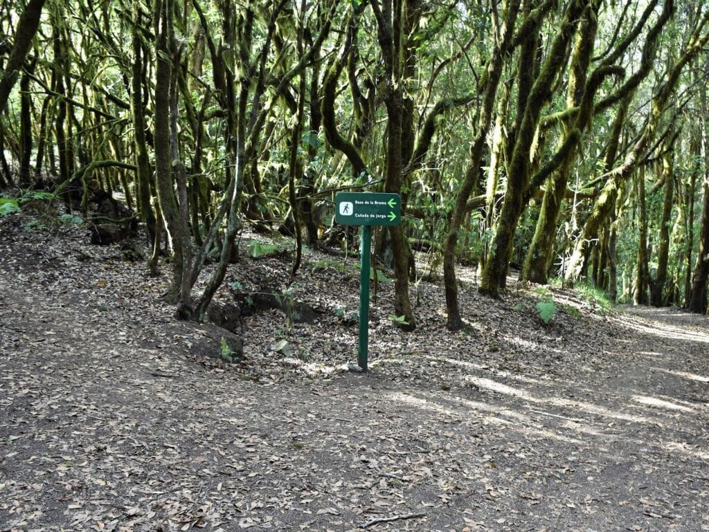 Vista del sendero La Cañada de Jorge en La Gomera