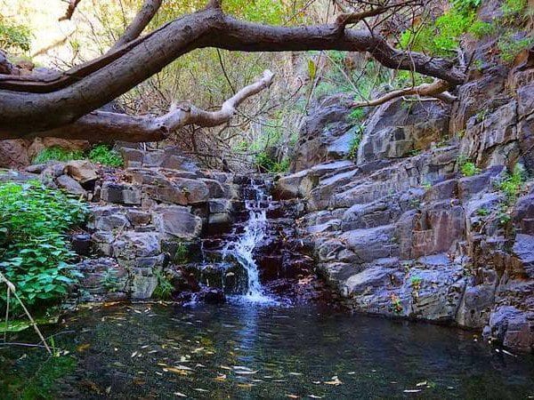 Vista de Barranco de Arure y sus senderos en la Gomera