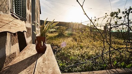 Vista de Vineyard Eladío  en Tenerife