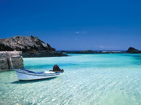 Isla de lobos