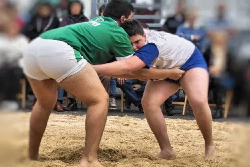 Lucha Canaria