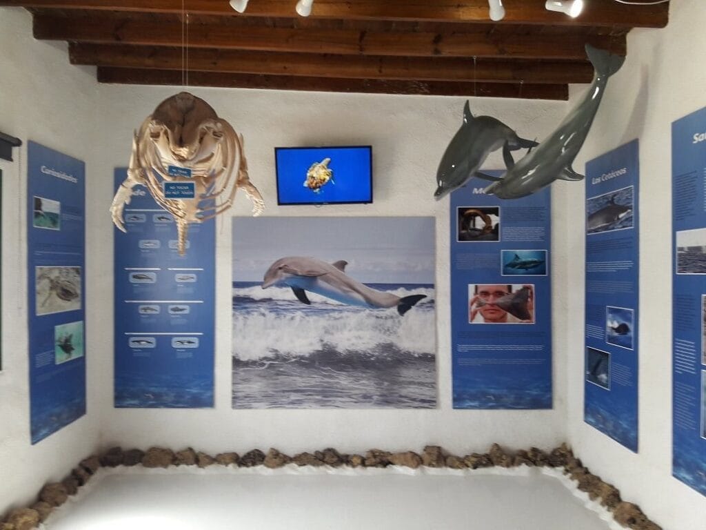 Museo Chinijo en la Graciosa