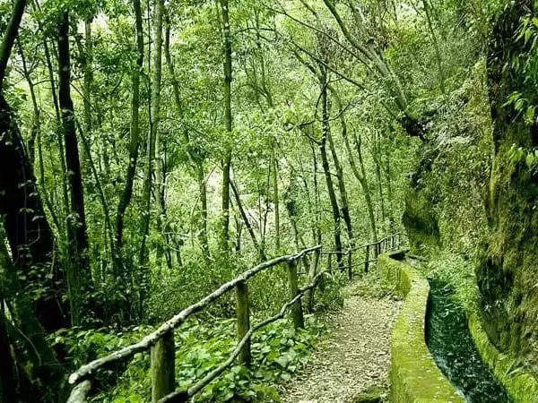Paisajes naturales