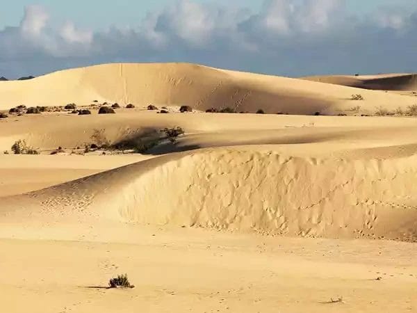 Dunas de Corralejo