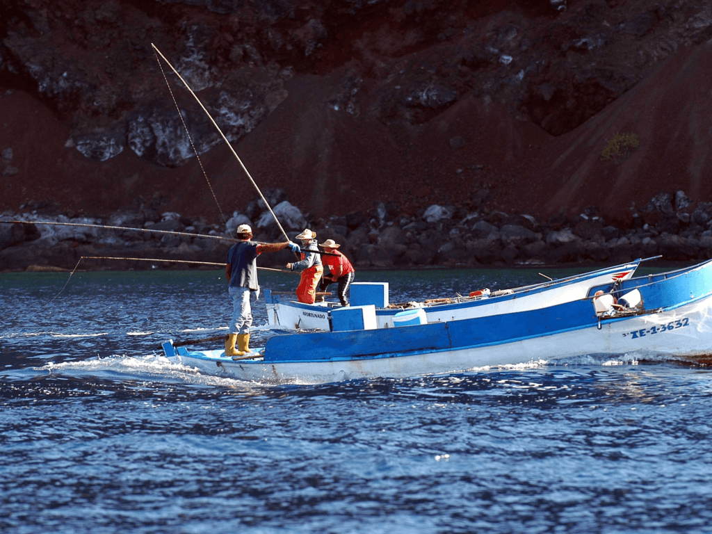 Pesca