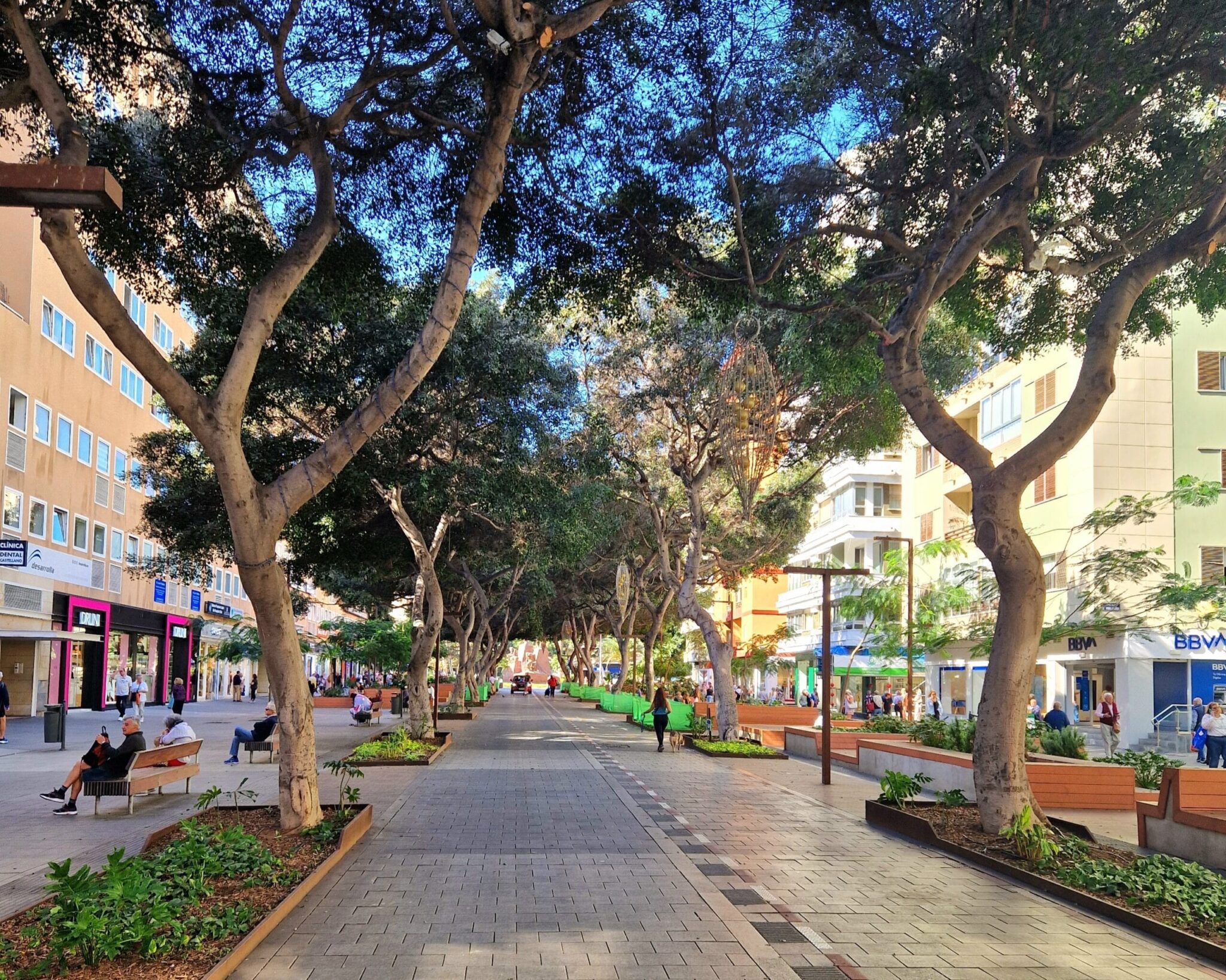 Zona comercial de Mesa y Lopez en Gran Canaria