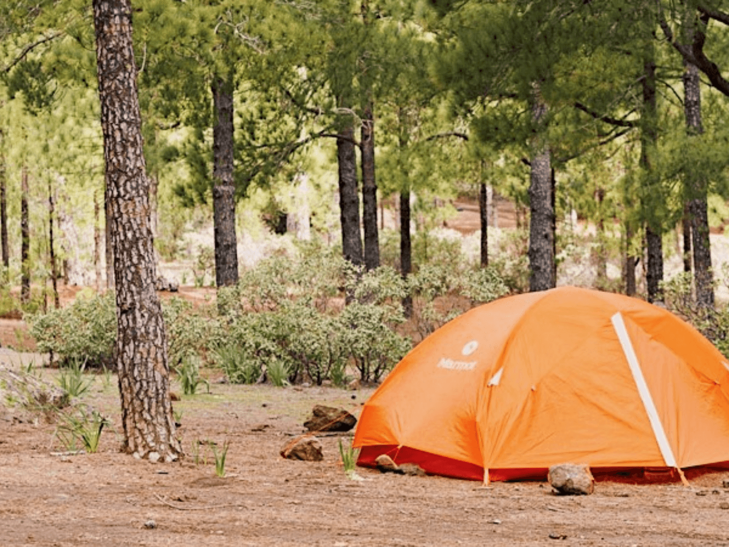 Vista de la zona de acampada Llanos de La Mimbre, una de las mejores zonas de acampada de Gran Canaria