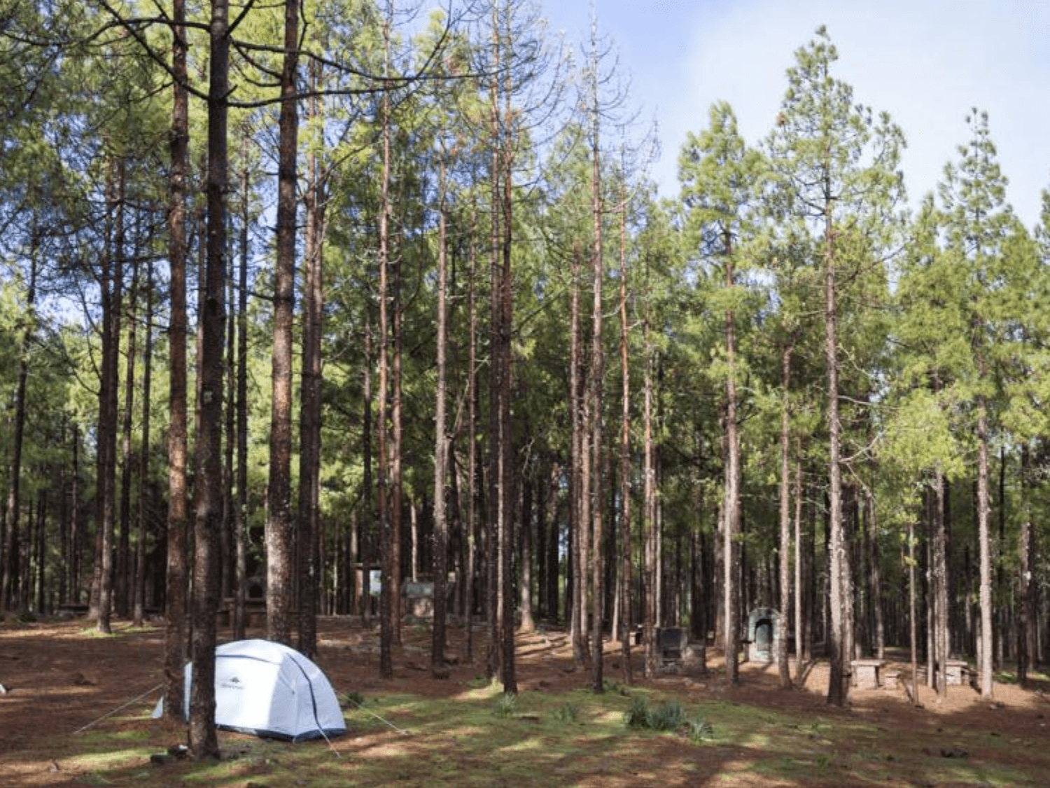 Vista de caseta en la zona de acampada Llanos de La Pez en Gran Canaria