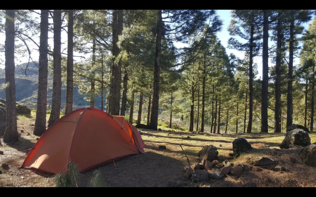 Vista de caseta en los pinares en zona de acampada en Gran Canaria