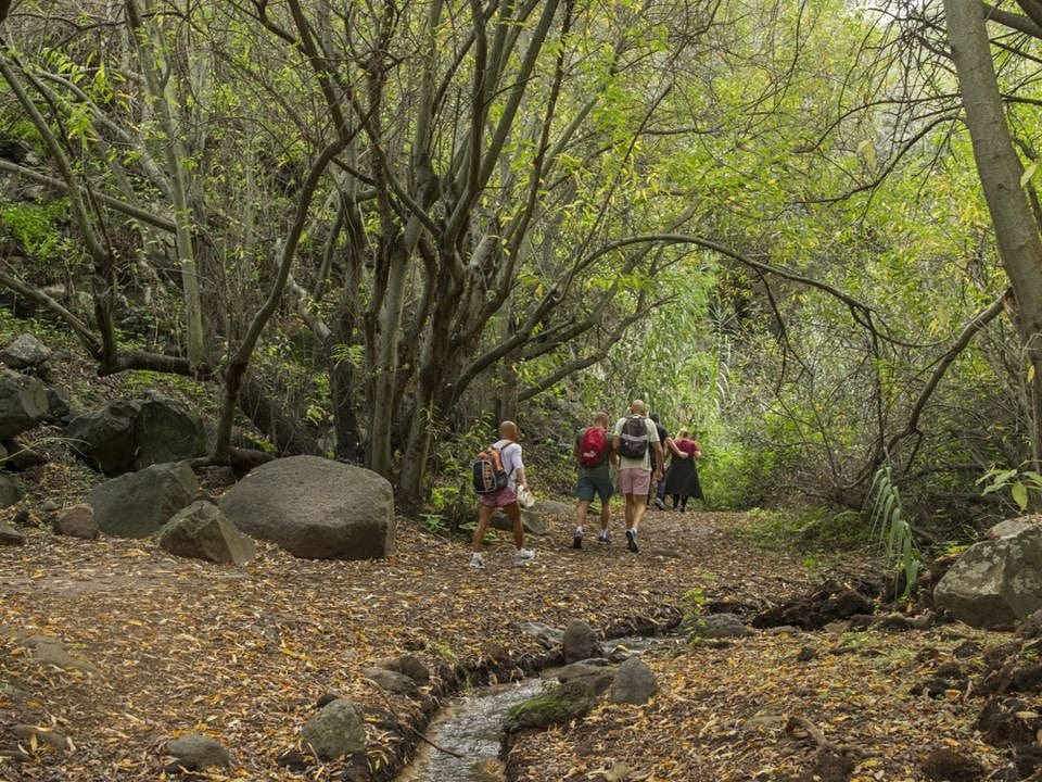 vista del barranco de los Cernícalos, una de las mejores rutas de senderismo que hacer con niños en Gran Canaria