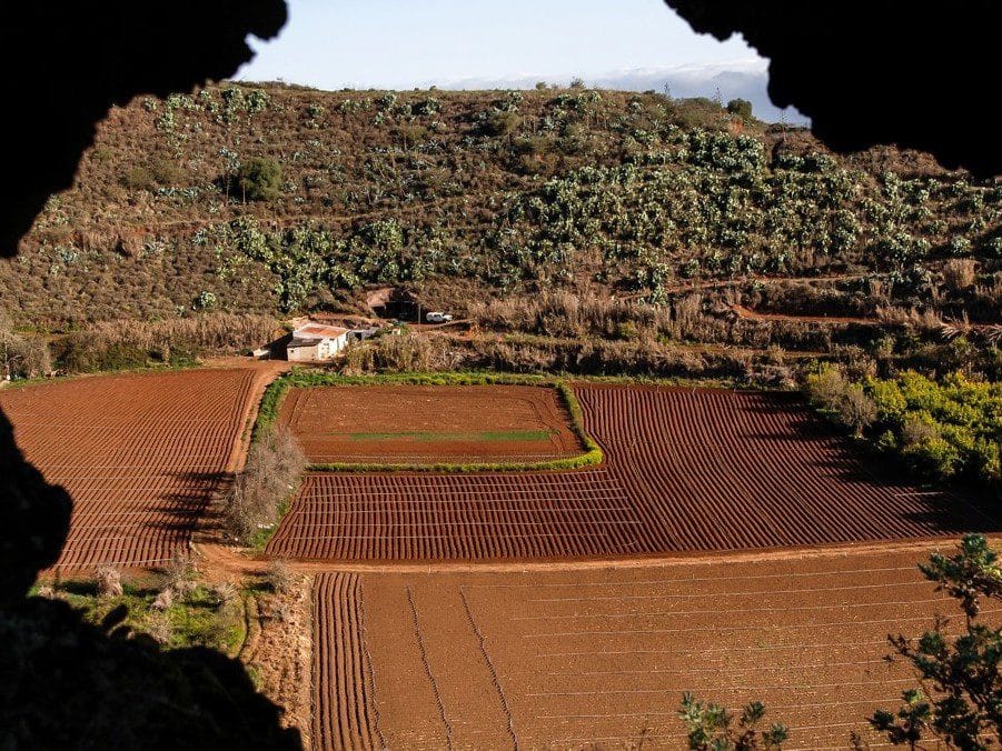 Vistas de la Caldera de Pino Santo, una de las rutas de senderismo con niños en Gran Canaria
