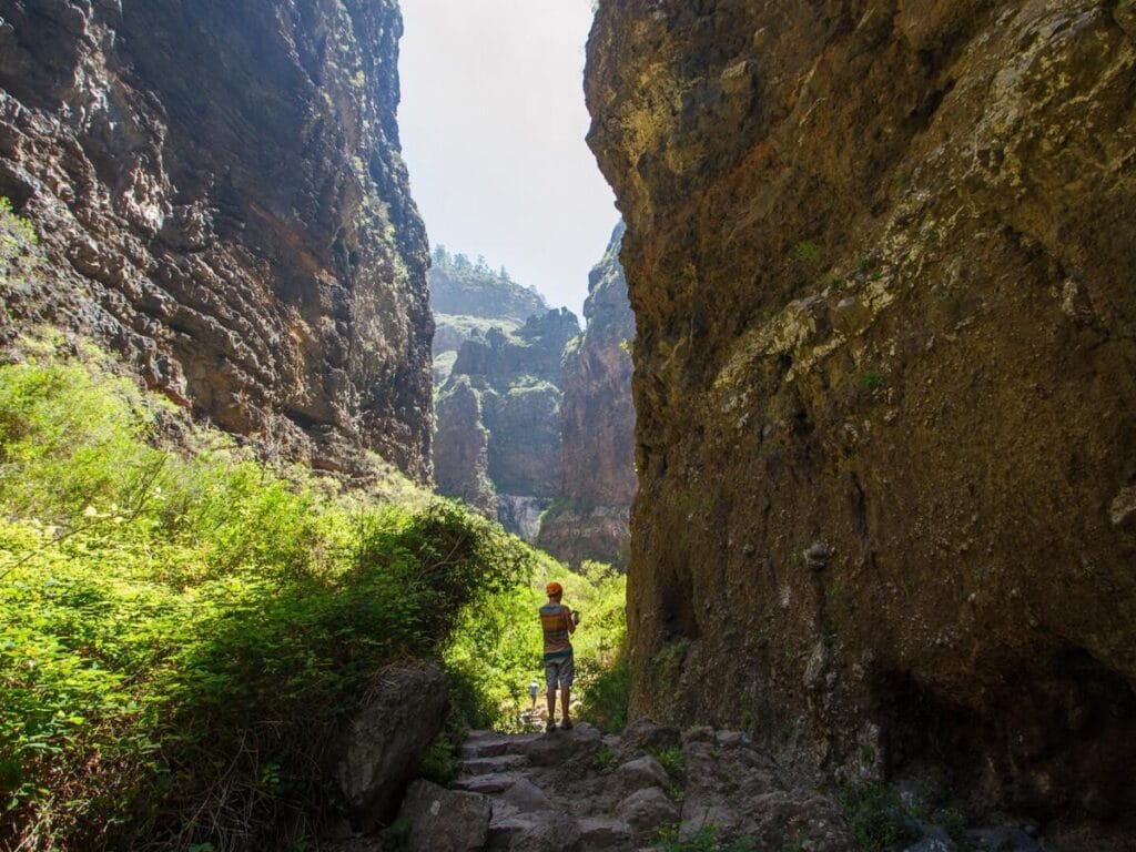 Vista de la ruta del Barranco del Infierno en la isla de Tenerife