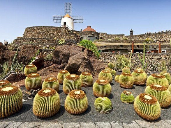 Vistas del Jardín de Cactus, una de las obras princpales de César Manrique en Canarias
