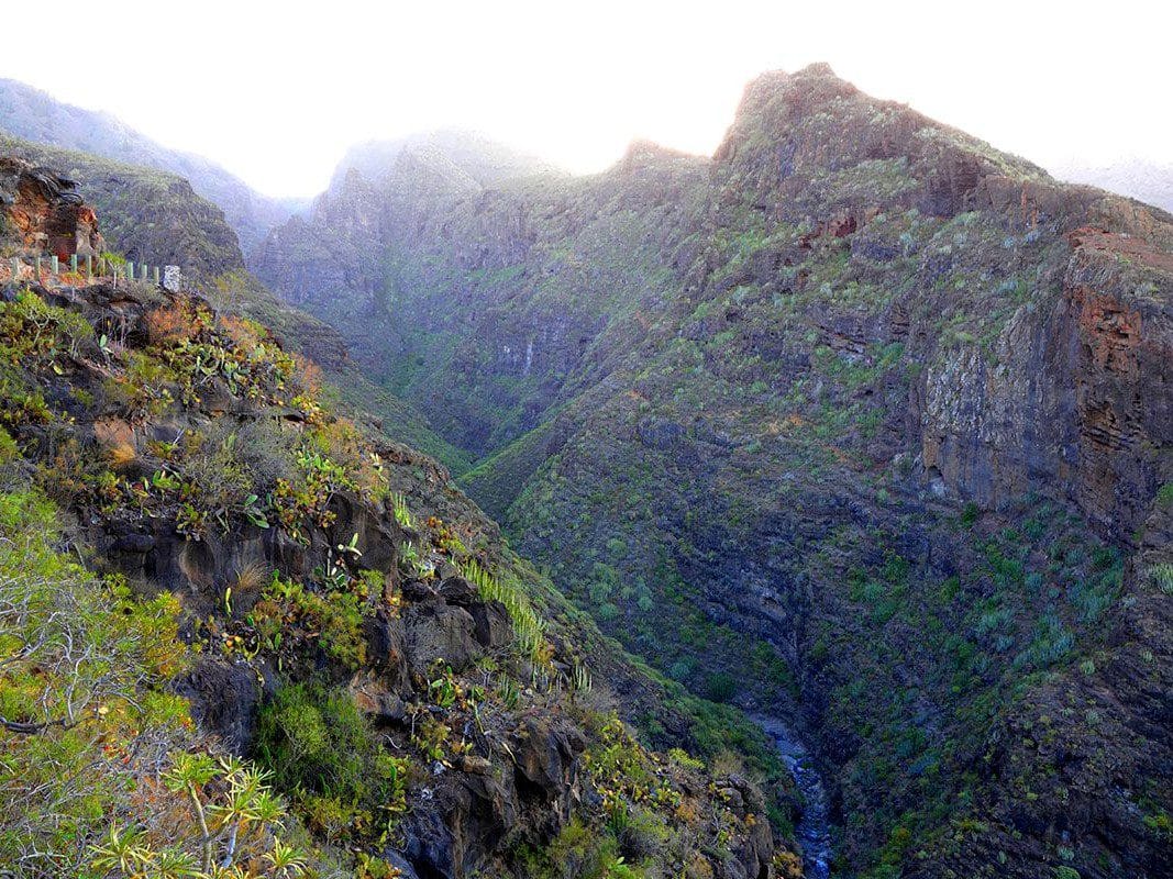 Vista de la ruta del Barranco del Infierno, una de las mejores en Tenerife