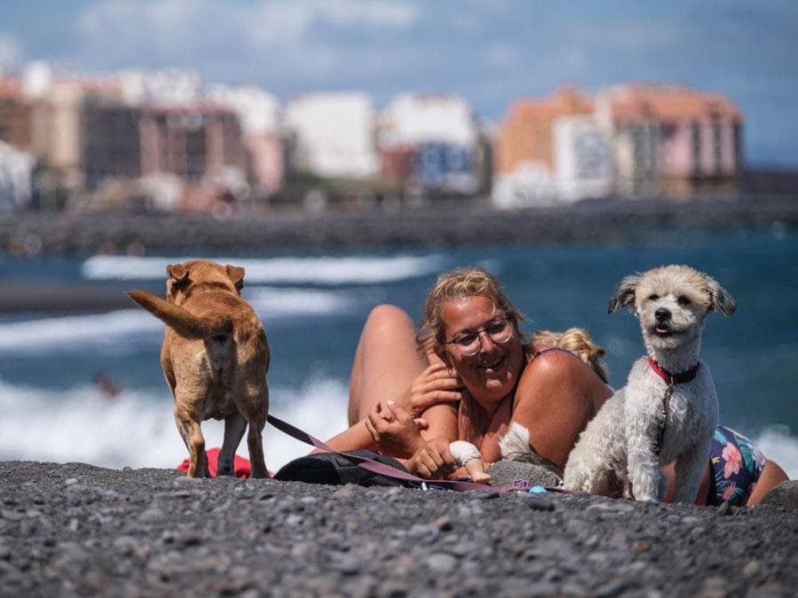 Vista de la playa para perros de Güímar en Tenerife