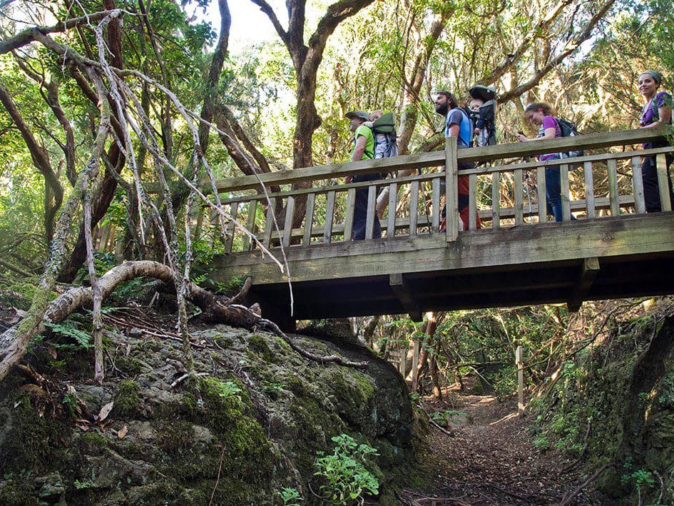 Vsta del Sendero de los Sentidos, una de las mejores rutas de senderismo en Tenerife