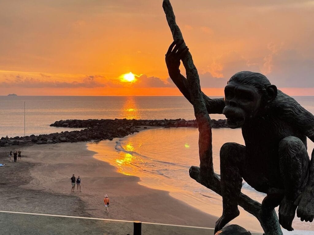 Vista de Monkey Beach Club, uno de los mejores beach club de Tenerife