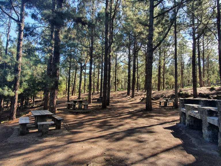 Vista del Área Recreativa San José de Los Llanos, una de las mejores areas recreativas de Tenerife