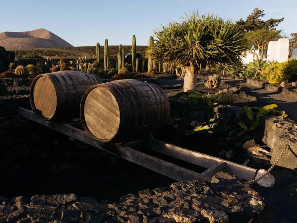 VIsta de las bodegas de Bodegas El Grifo en Lanzarote