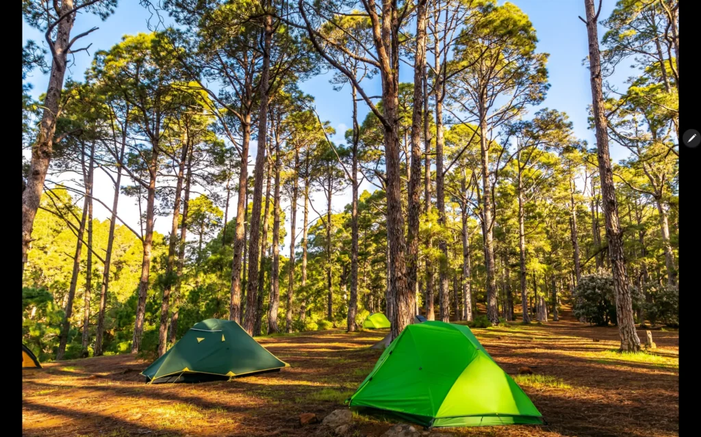 Vista de una zona de acampada en la isla de tenerife