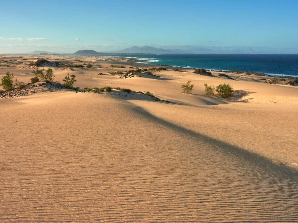 Vistas del atardecer en las Dunas de Corralejo en Fuerteventura