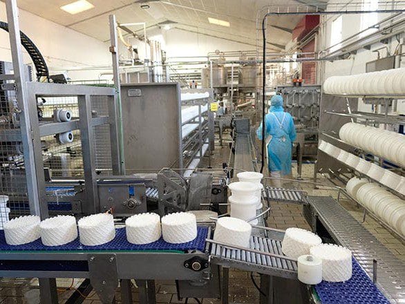 Vista de la produccion de los quesos majoreros en Fuerteventura