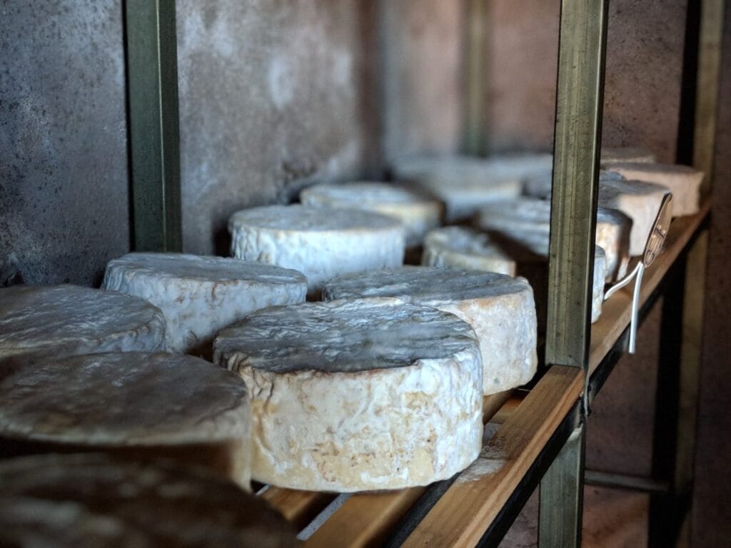 vista de quesos naturteno en Tenerife, uno de los mejores quesos de la isla