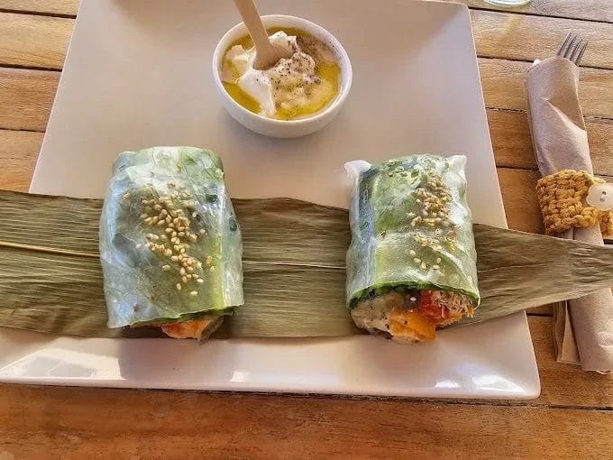 vista de rollitos vegetarianos en la isla de Lanzarote