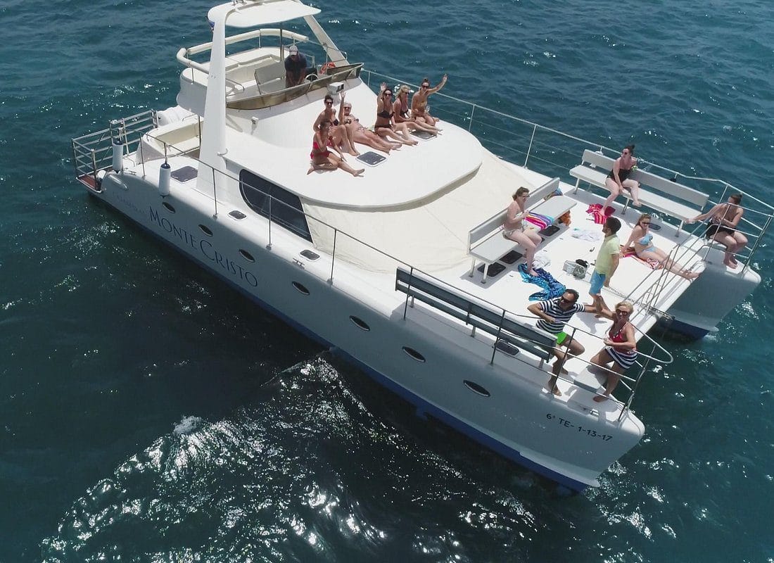 Vista de Crucero en catamarán de lujo de avistamiento de ballenas y delfines, una de las mejores actividades que hacer en Tenerife
