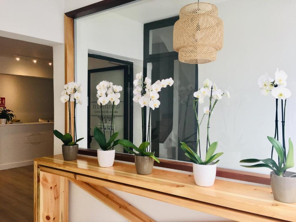 Vista del El Hotelito 27, uno de los alojamientos de La Palma