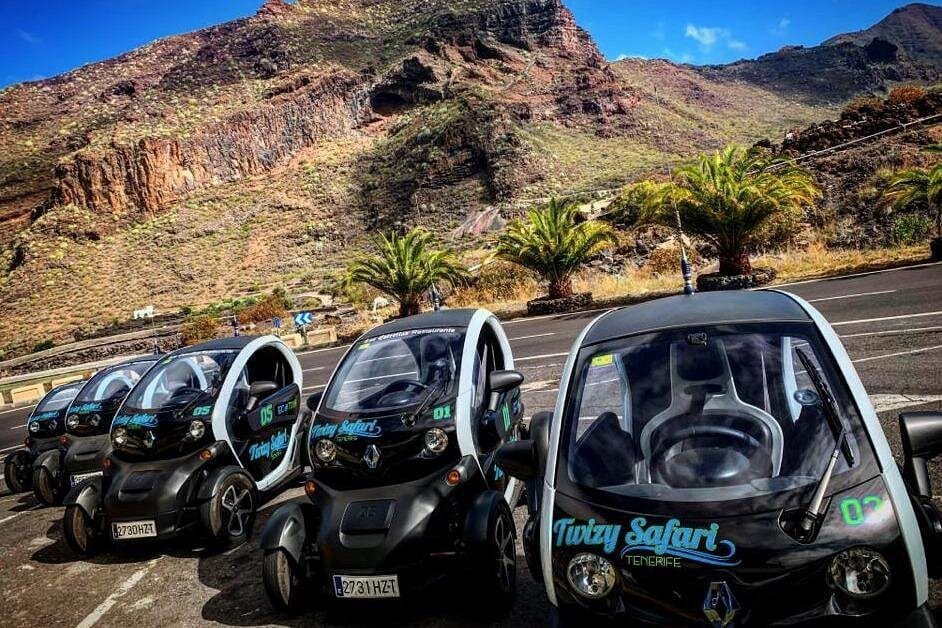 Vista de Tour Eco Safari de 4 horas con coche eléctrico en Tenerife