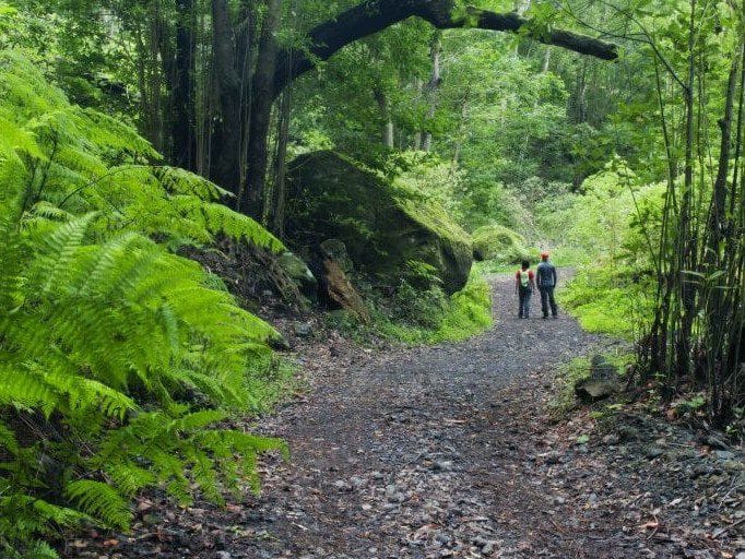 Vista del Cubo de La Galga, una de las mejores cosas que ver y hacer en La Palma